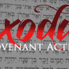 Exodus: Covenant Action – Part 15